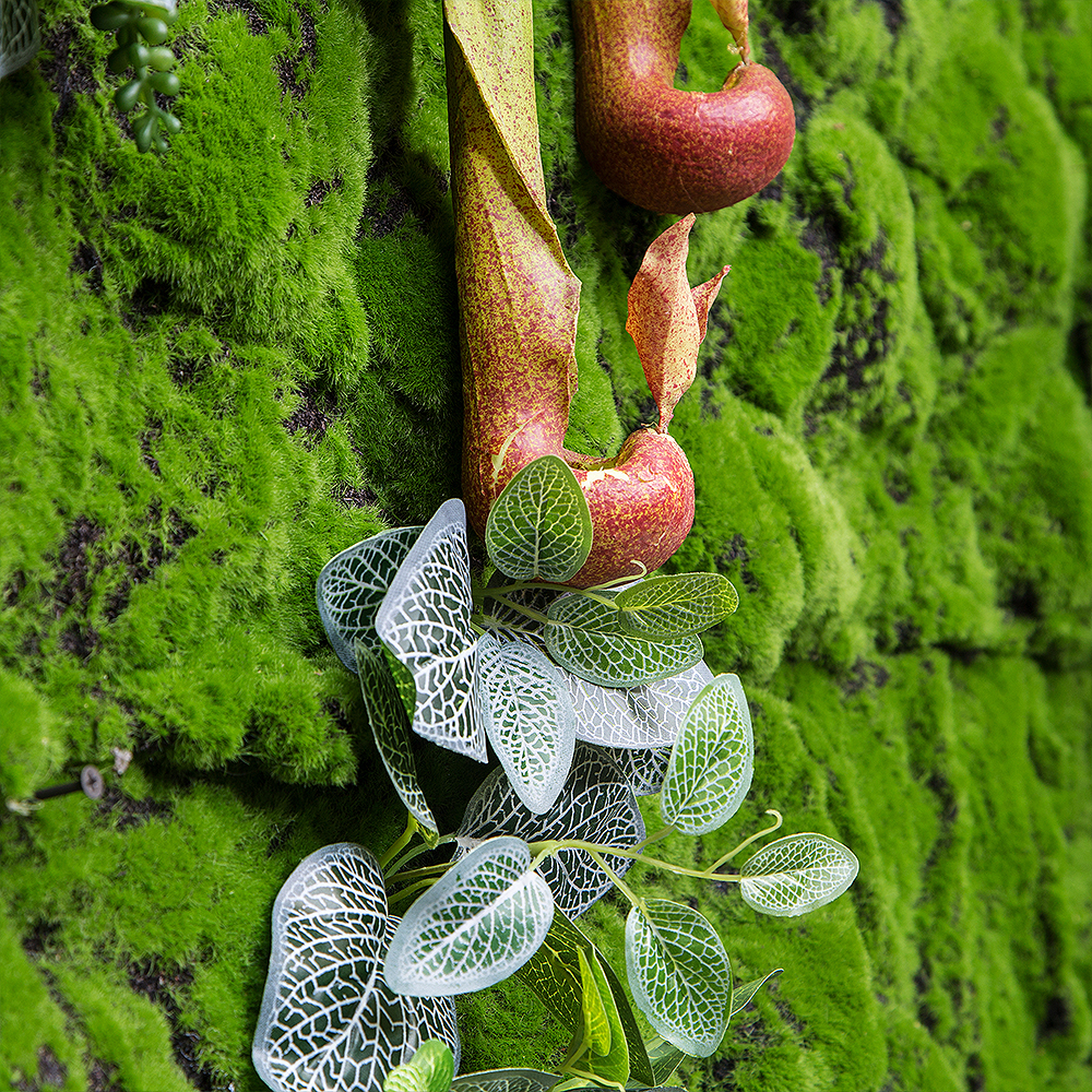 Фитостена 121 (1кв.м)_3