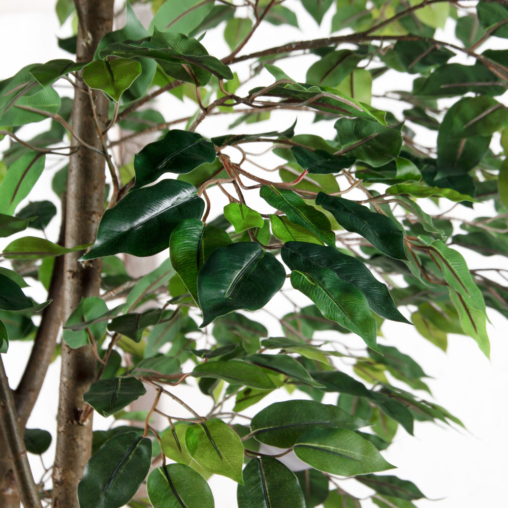 320/РН/34-2(F) Фикус искусственный h320см (3 ствола)_6