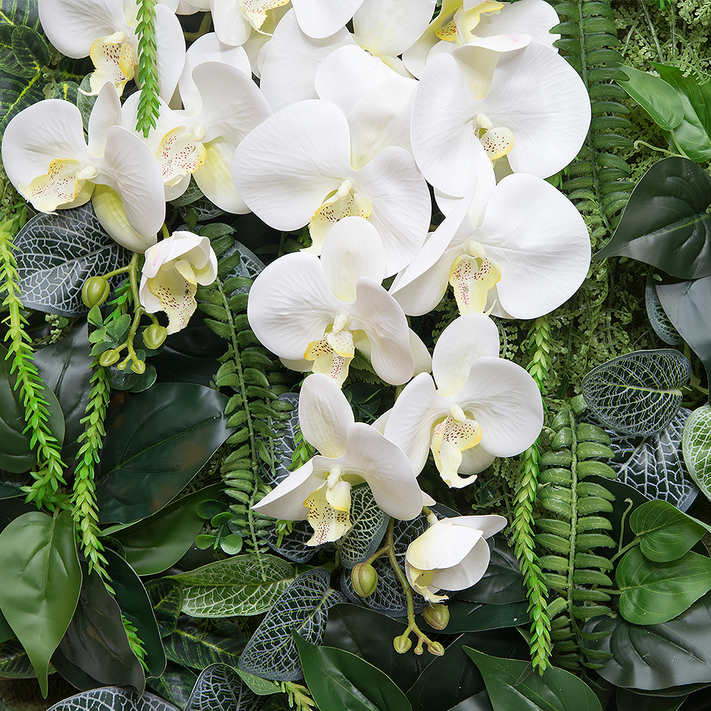 Фитостена 128 Микс из папоротников с орхидеей (1кв.м)_2