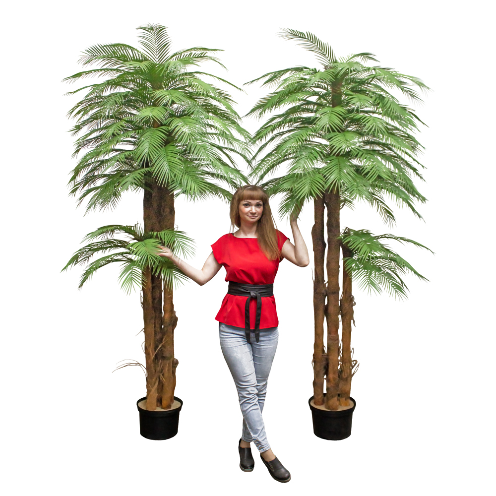 П250/5К/451(з.) Пальма искусственная Арека h250см_4