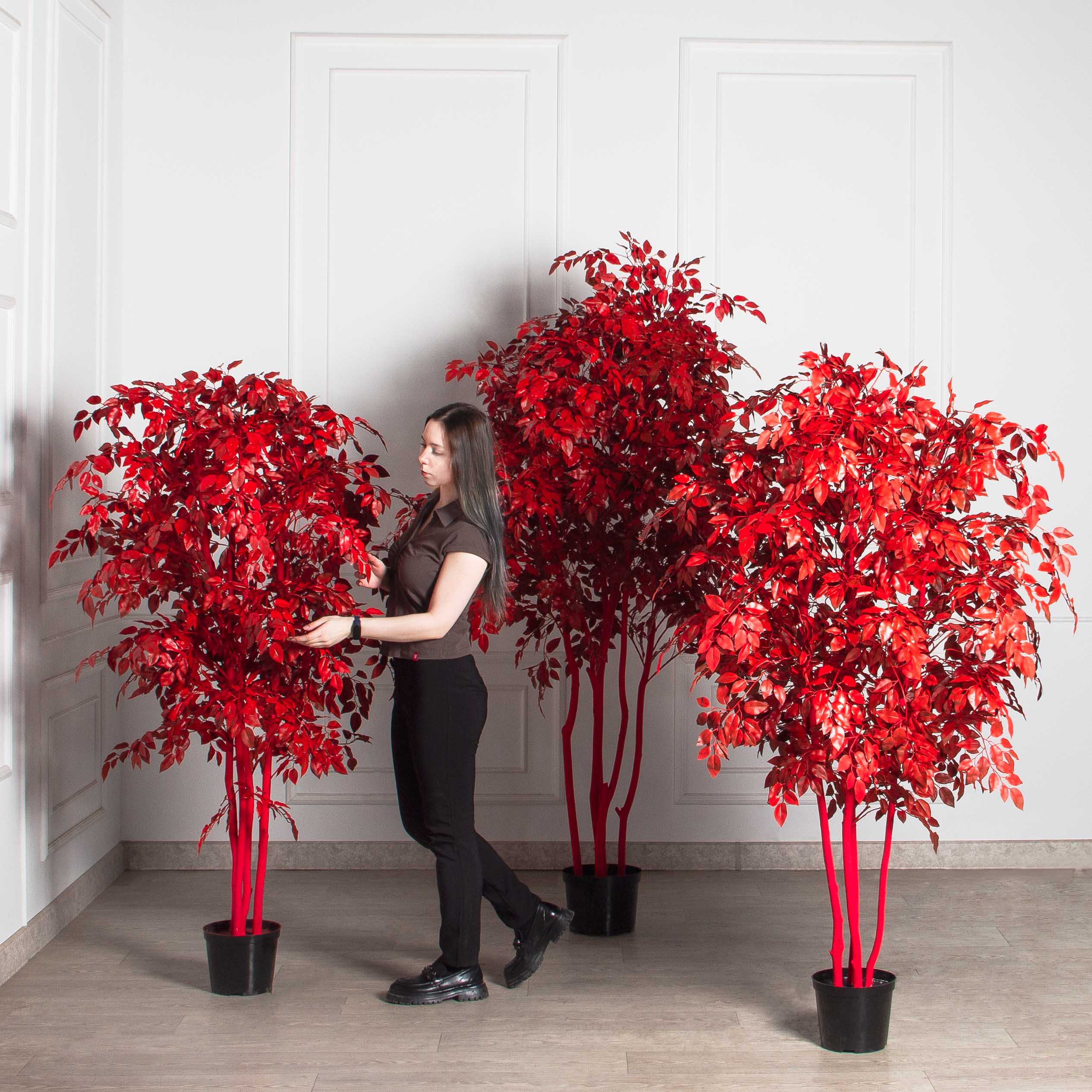 170/РН/17М(з)(F) Фикус искусственный с покрасом RAL3020. h170см d90см, латекс_6