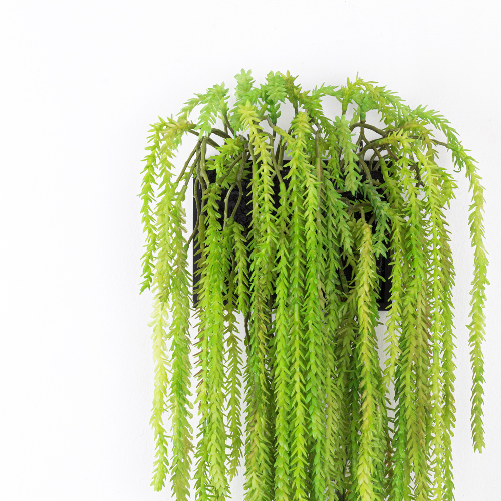 БК 36(Promo) Композиция с крассулой на блоке 15*h10см_7