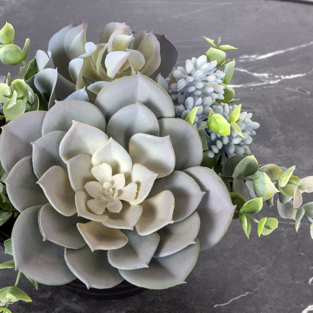 СКК012(МД) Комп.из суккулент.(х2) в инт.кашпо d17с_1