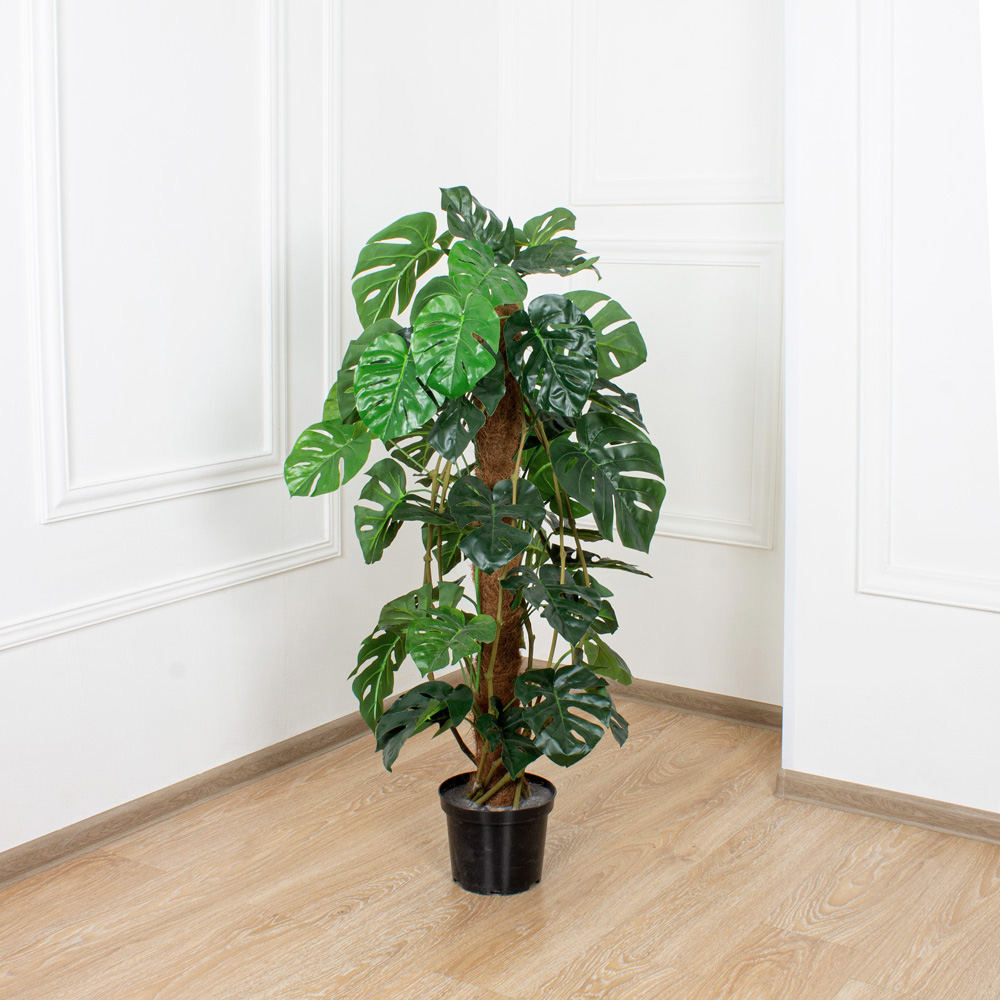 К120/215 Монстера h120см(латекс)_5