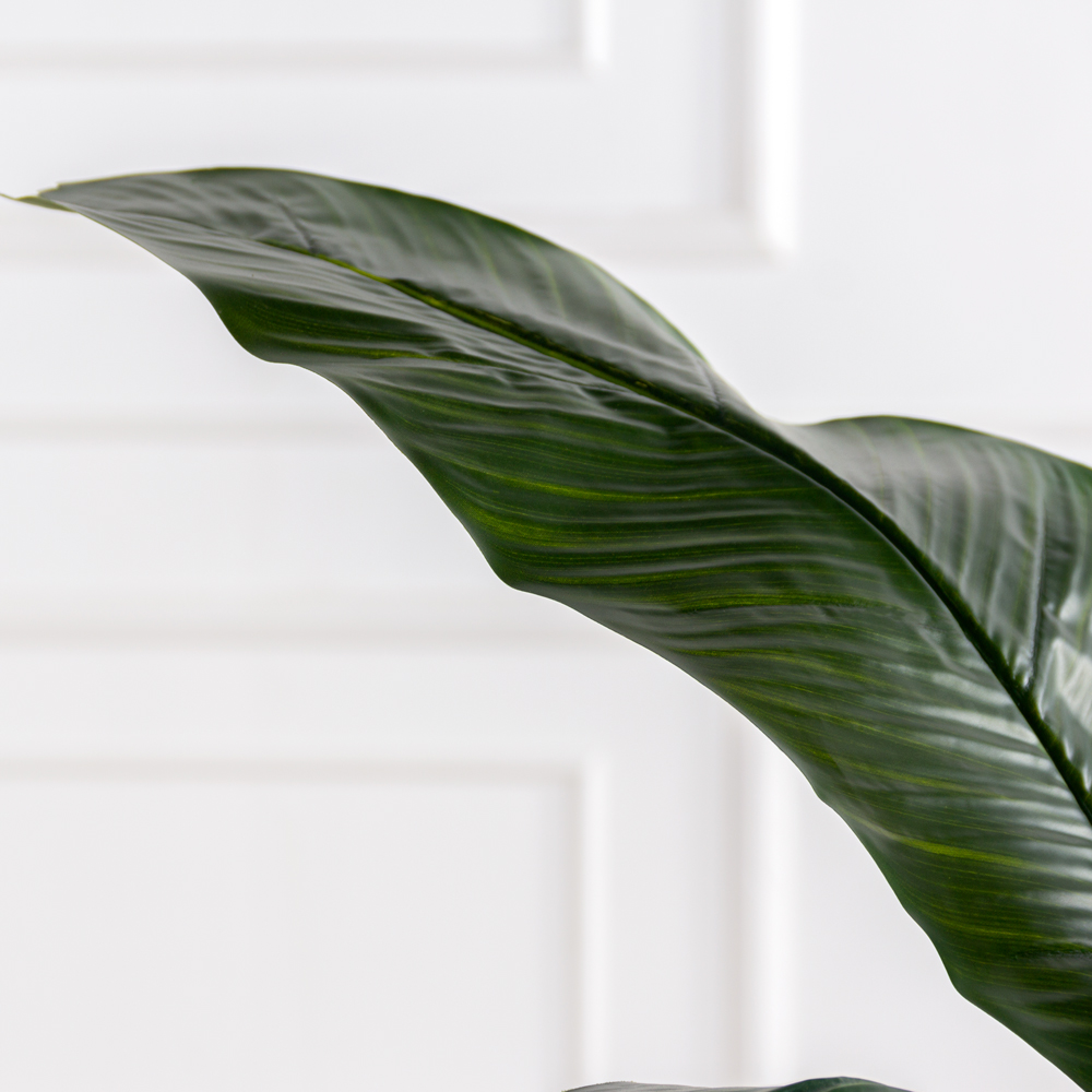 П120/43(з)(F) Банановая пальма искусственная h120см (латекс)_2