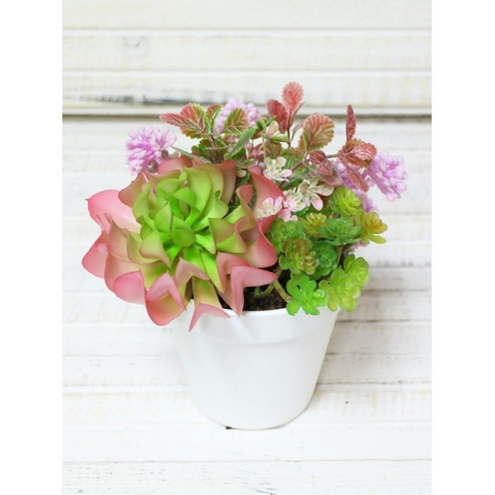 5029555f-c7fa-403c-a46d-7b4f928c00e2-1000x1000-1001x1001