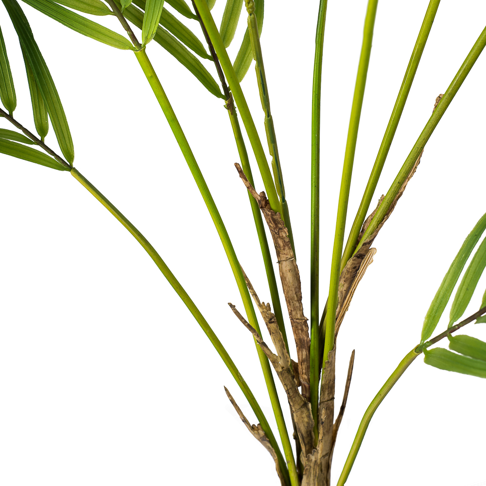 7143/0117-80 Пальма кустовая 80см (9листов)_2