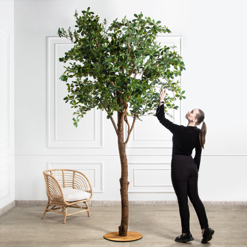 290/РН/84-1(з)(F)  Шеффлера искусственная h290 d160х65см на фанерн.основании d50_1