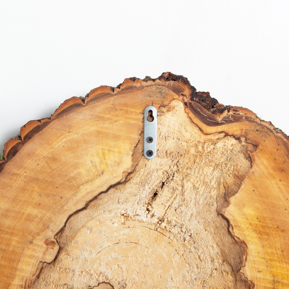 БТФ07 Спил декоративный мал. (21*22см)_2