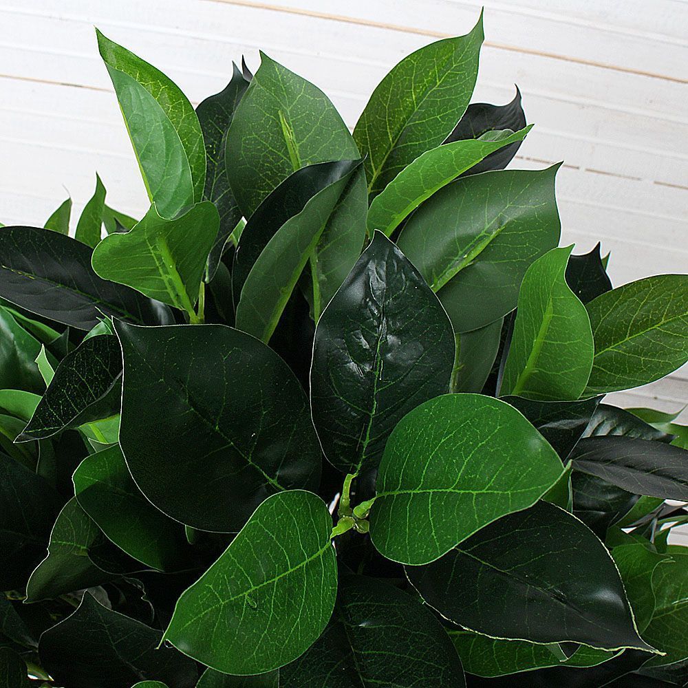 ЦС40/25 Лавр камфор. (латекс) h-40см d-43см_2