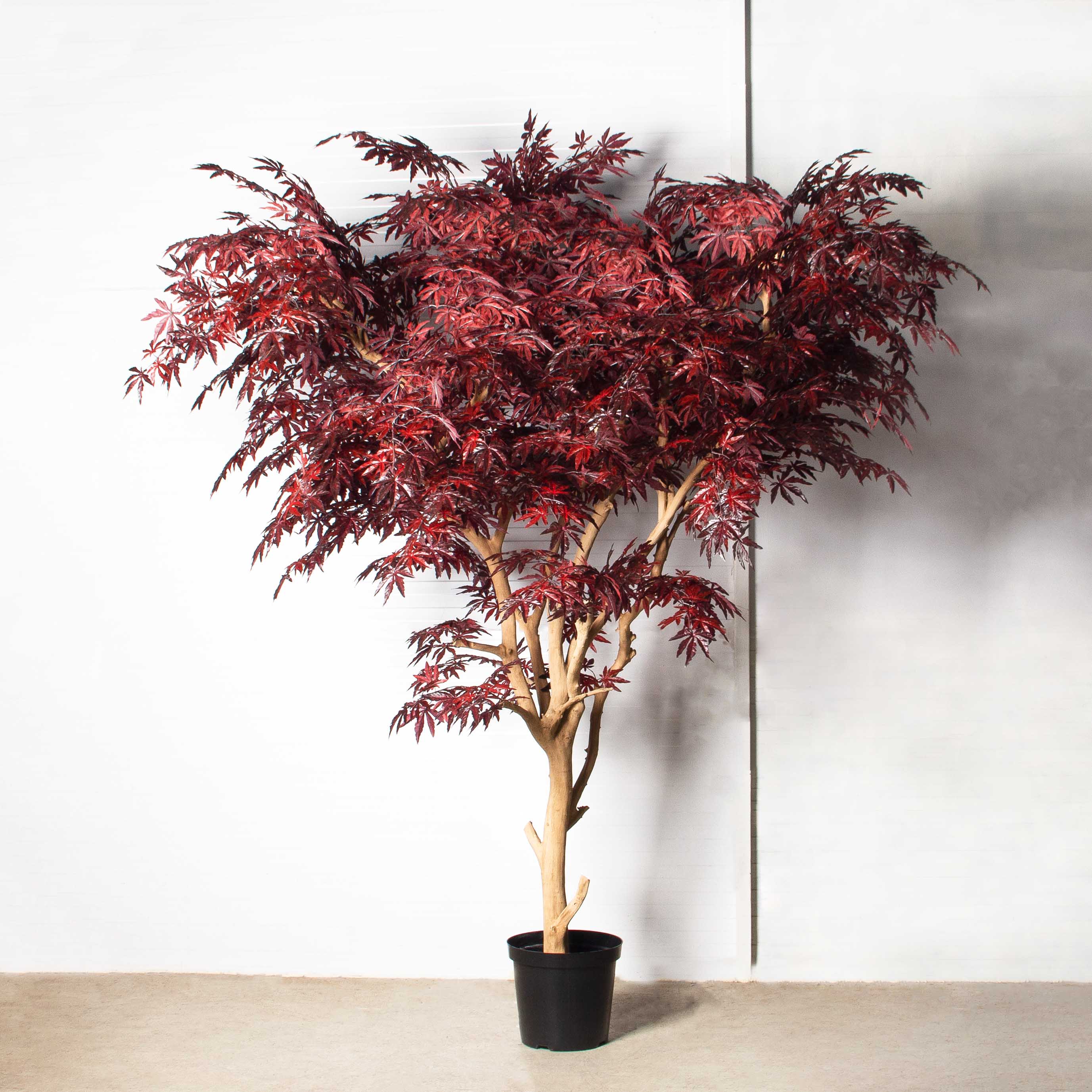 270/ДА/400(з)(УУ)(Пр)(F) Клён искусственный h270см d230х110см, латекс_2