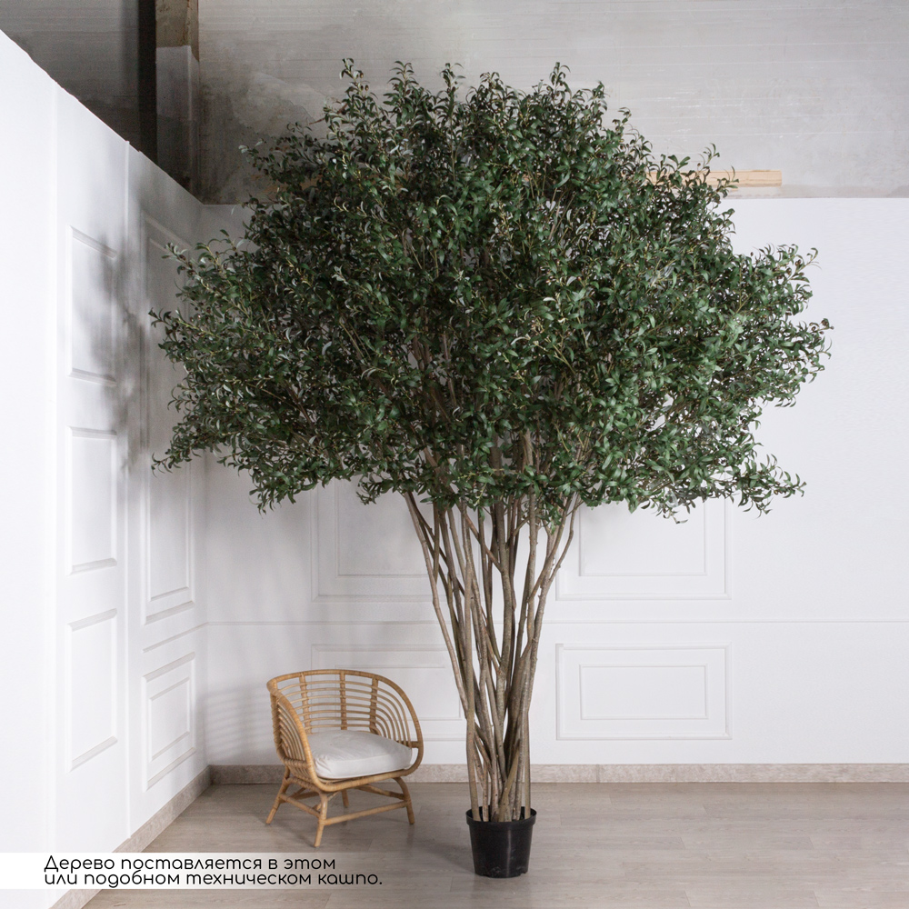 300/РН/465(Пр)(F) Оливковое дерево искусственное h300см_1