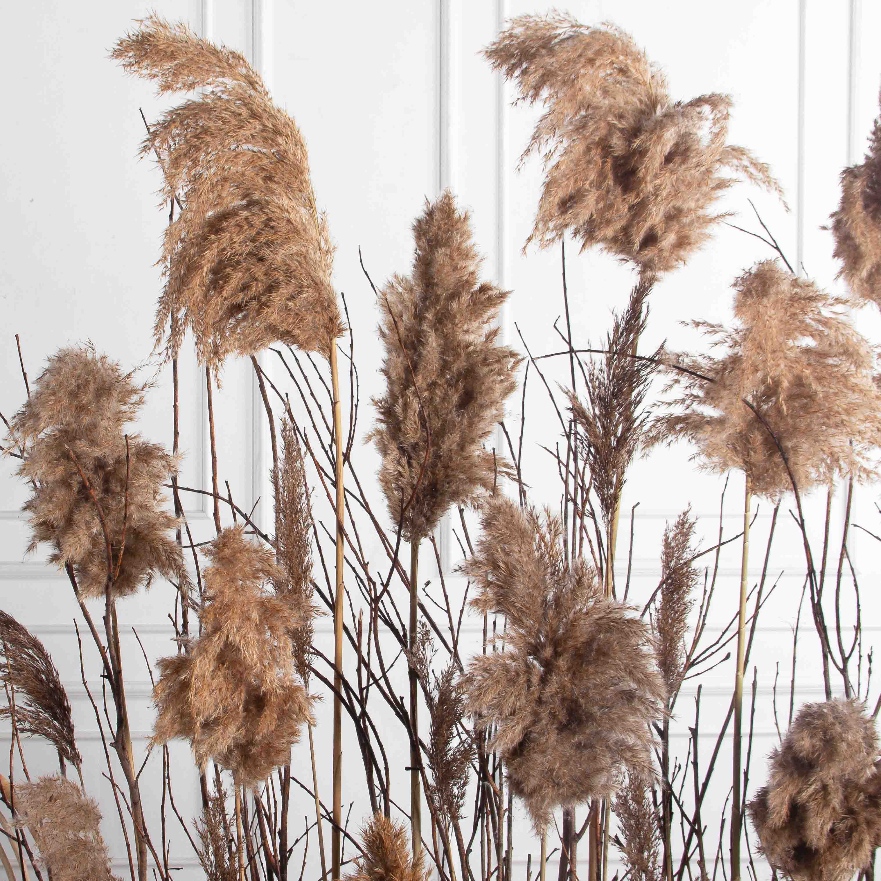 К552(Пр)(F) Композиция искусственная с камышом на основании_7