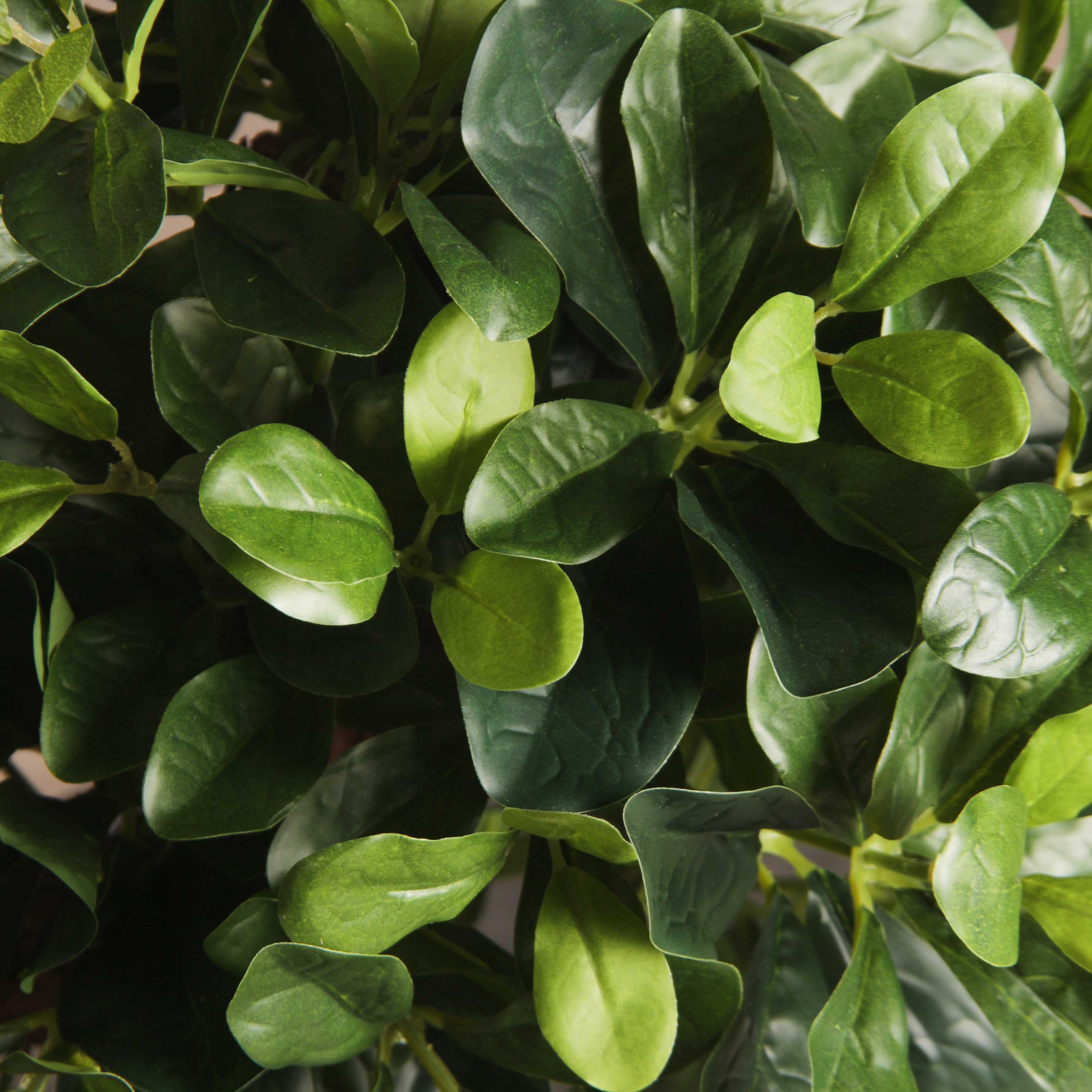 БЛ050/3К/204(F) Бонсай искусственный Питтоспорум h50см (латекс)_3