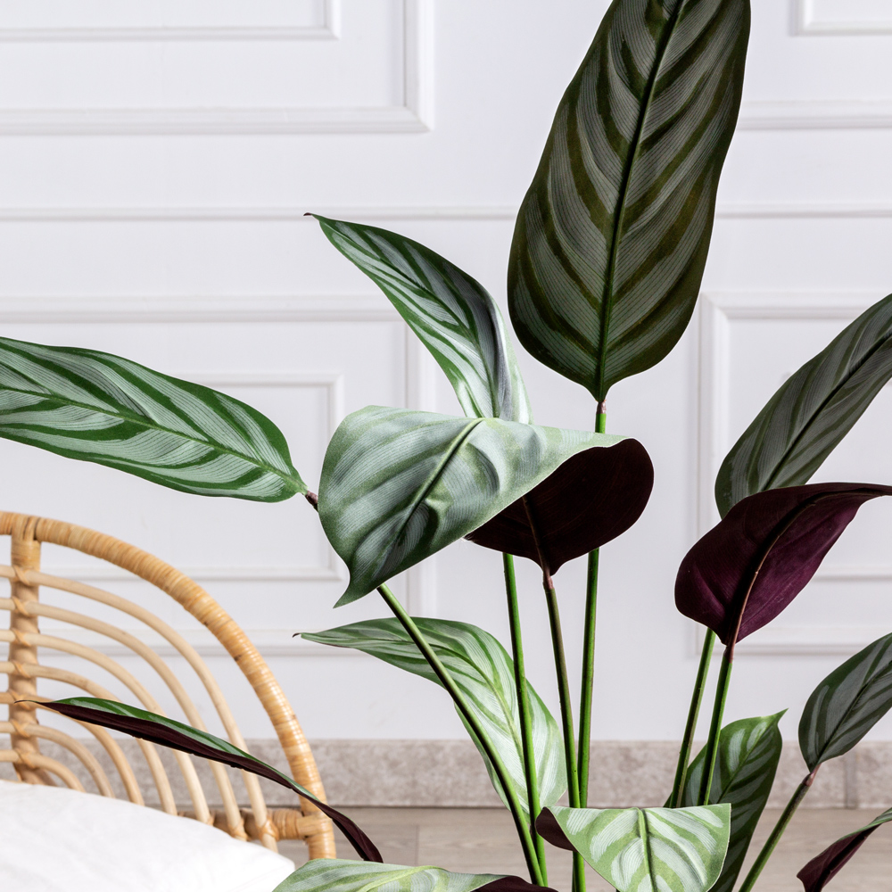 140/К/503(f) Калатея Фредди искусственная h140см, бело-зеленая_1