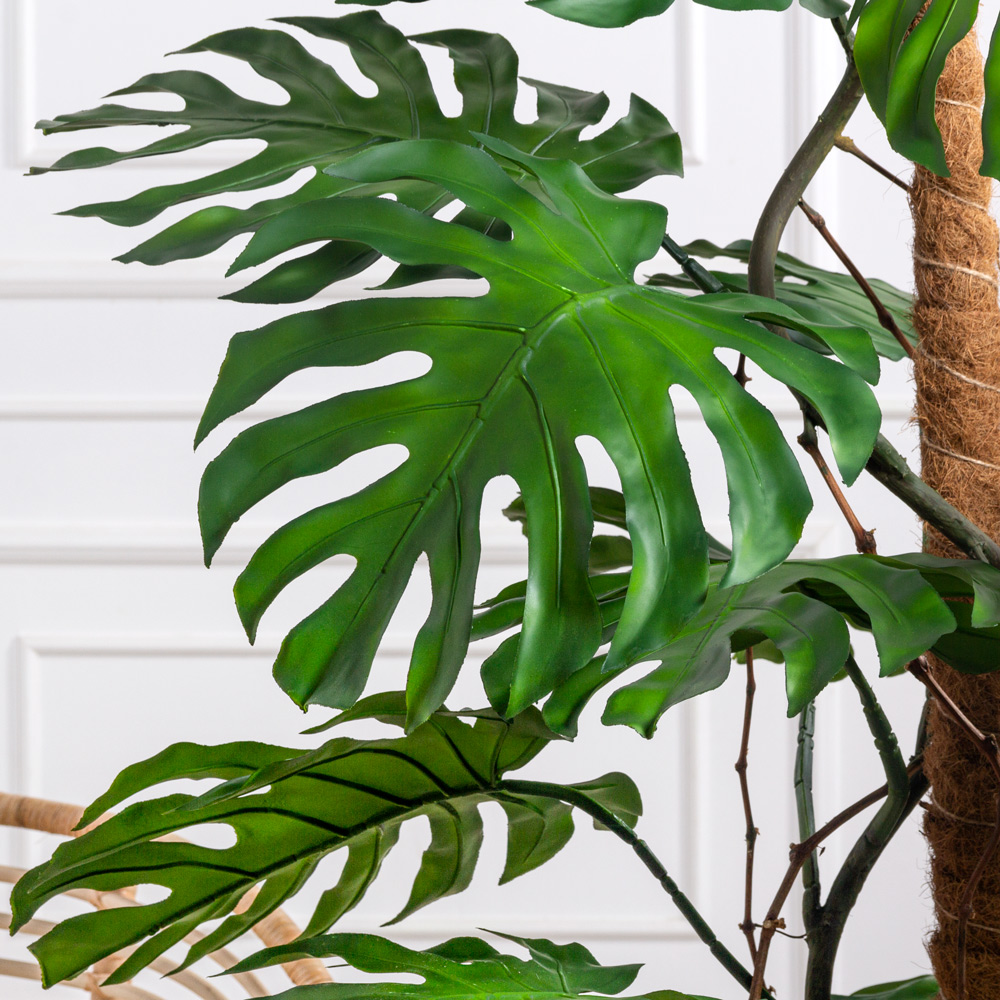 145/К/371(F) Монстера искусственная куст на опоре h145см_2