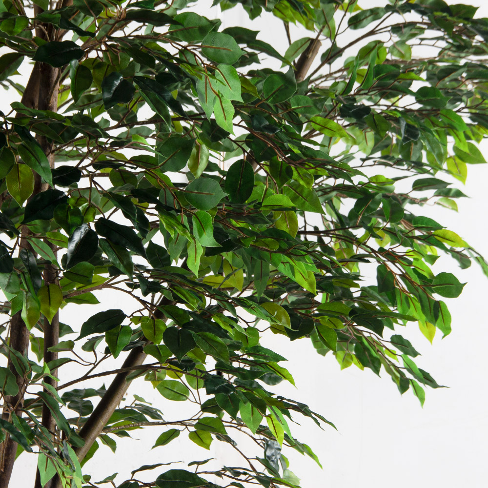 300/РН/34(Пр)(F) Фикус искусственный h300см (латекс)_5