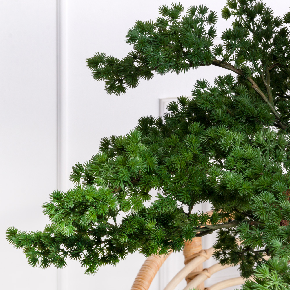 БС165/ОС/427(Пр) Бонсай искусственный Сосна h165см _3