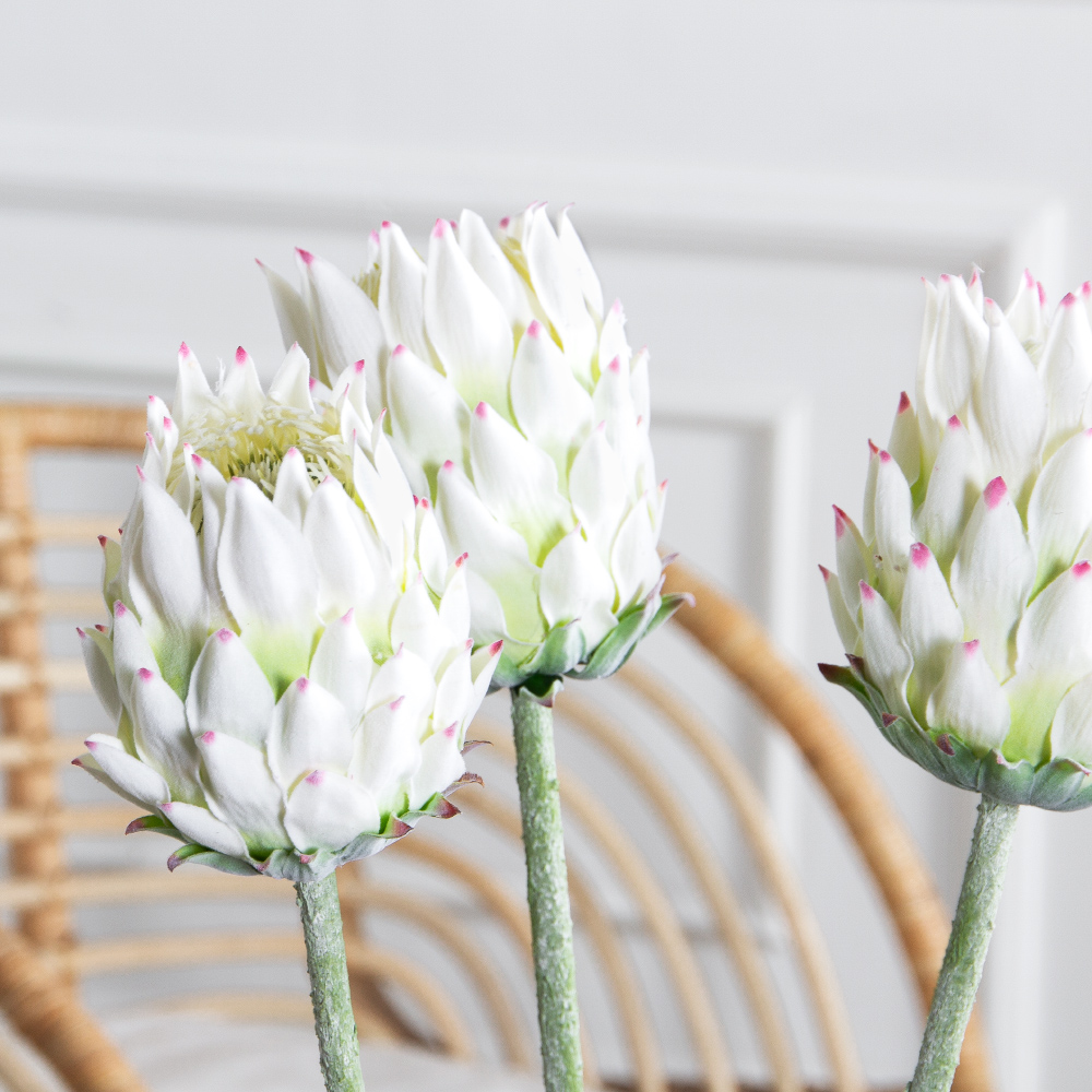 7141А/0287-0341/23(F) Протея искусственная h70см(голова 10см d7см) белая_4