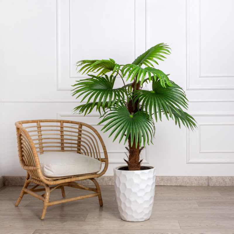 П120/404(х)(Fix)(Пр) Пальма веерная h120см (латекс)_4