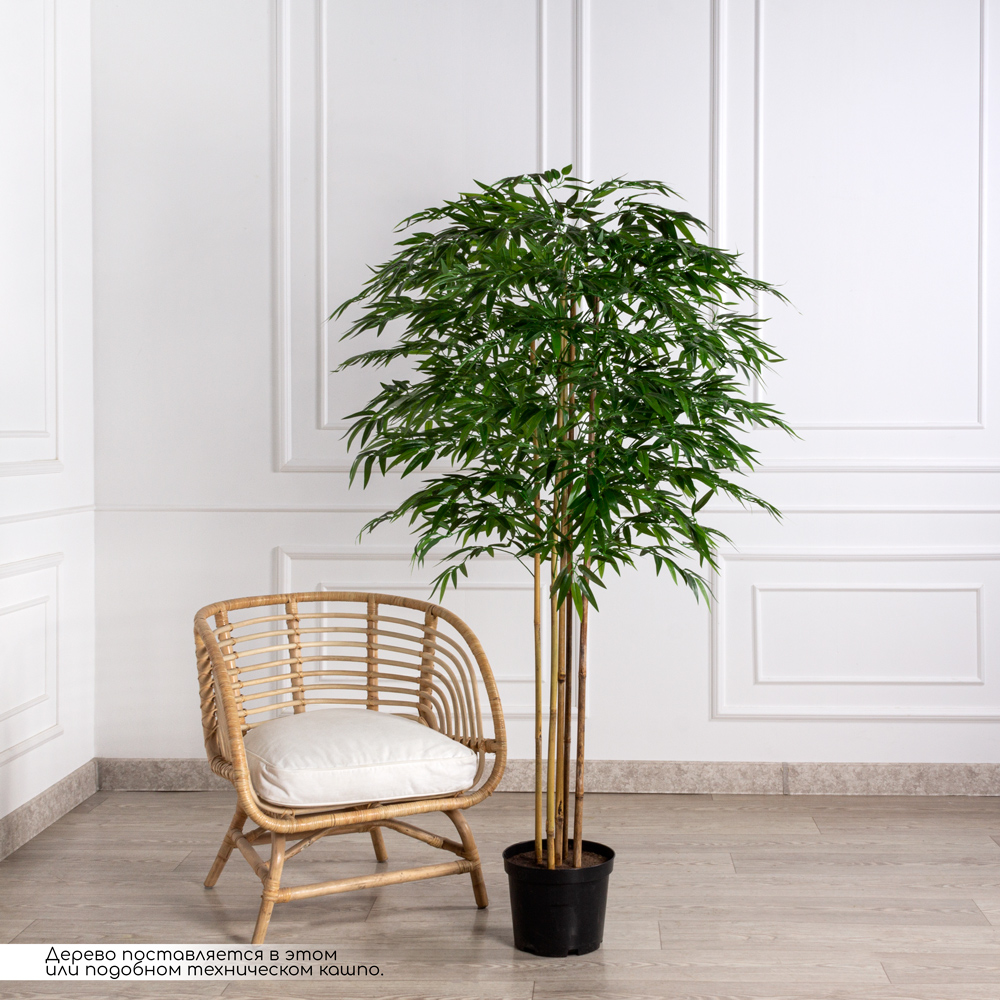 170/ШК/75-2(з)(Пр) Бамбук искусственный 5 стволов h170см _1