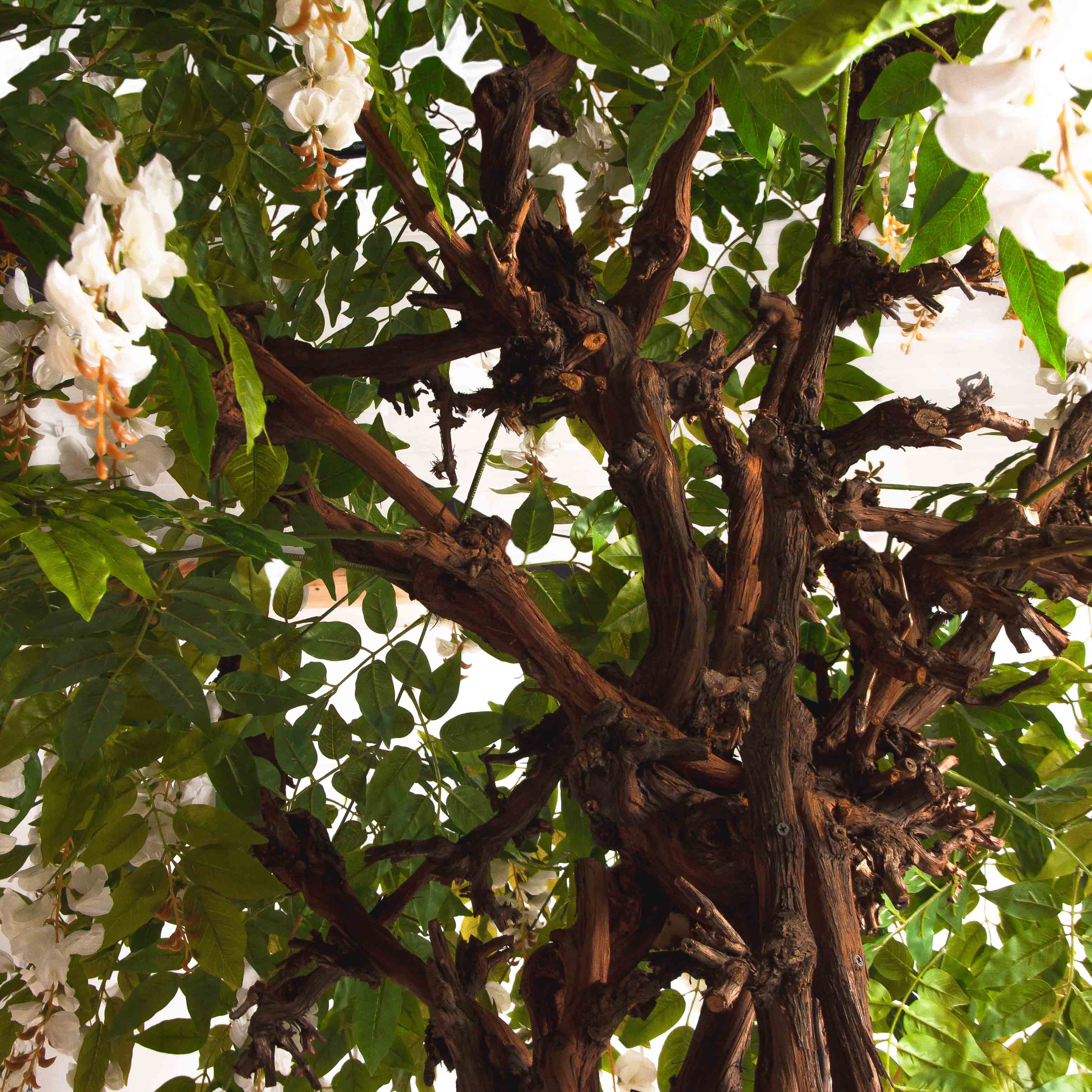 280/ОС/ПС/424(Пр)(F) Глициния(вистерия) искусственная h280см (латекс), белая_9