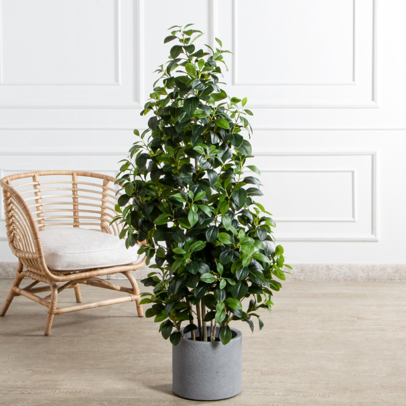 150/ДК/707(Пр)(F) Рускус искусственный куст h150см_1