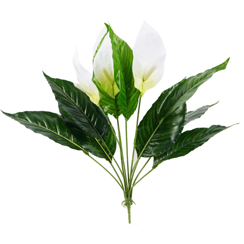 7143/0760-39/1 Куст спатифиллум мал. 45см_1