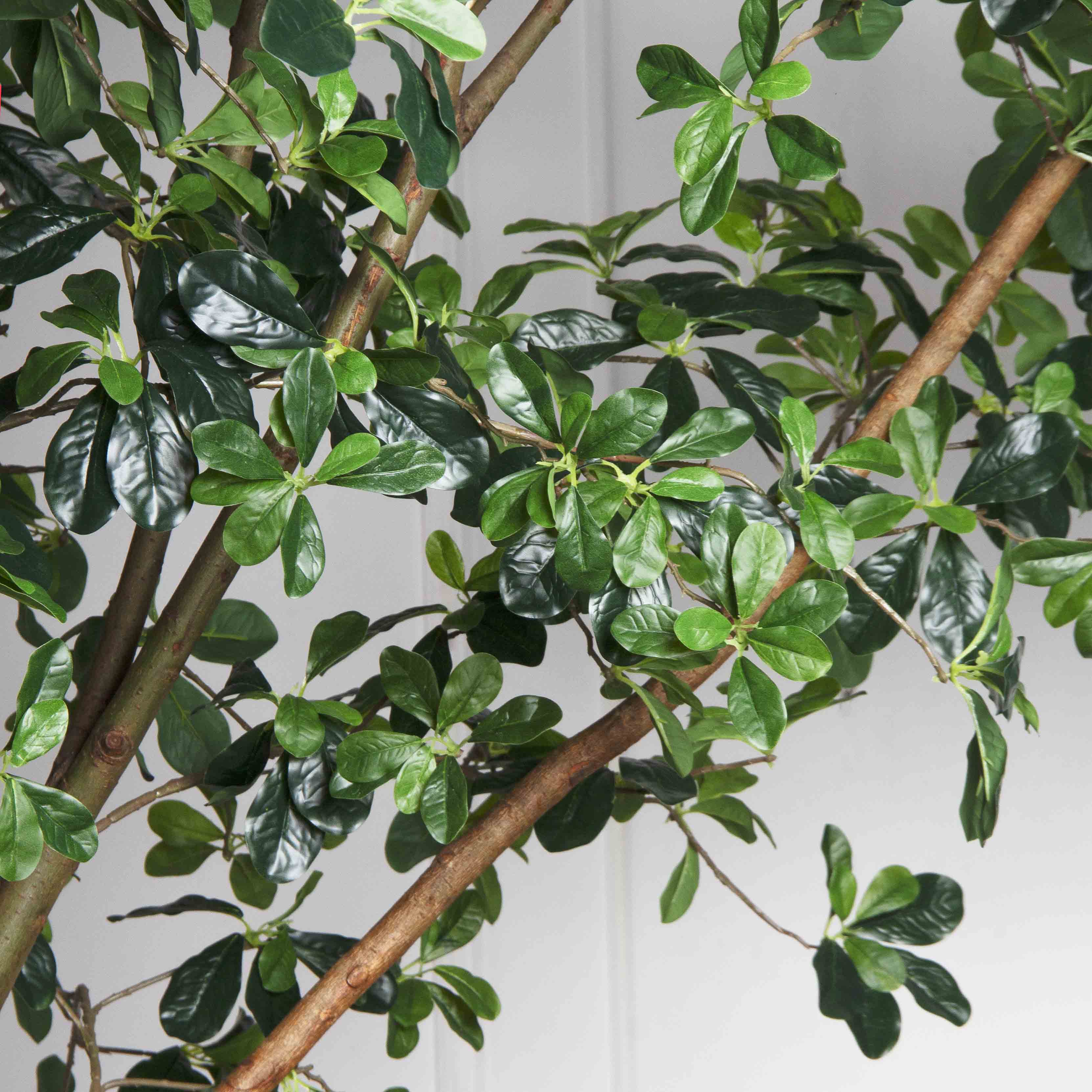 340/РН/84-1(з/УУ)(Пр)(F) Шеффлера искусственная h340см_7