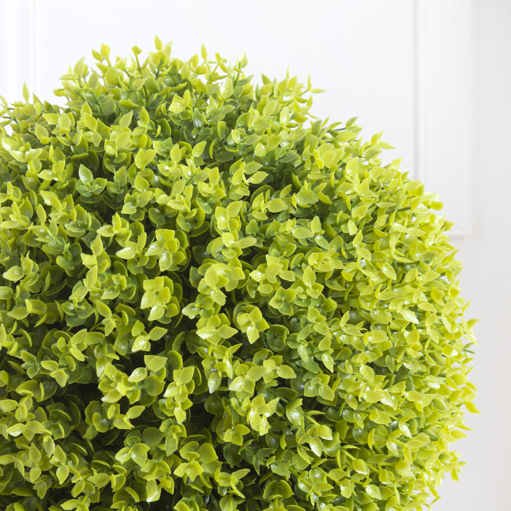 СШКТ35/98-1(з.) Самшит-топиарий d-35см_2