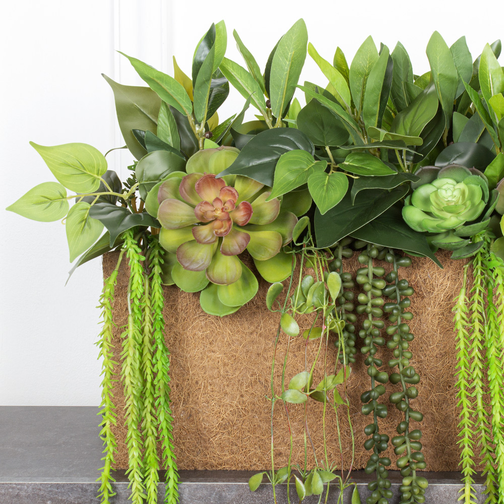 СКК14/7-2(з.) Композиц.из суккул.с зеленью в к.б(50х12х18)_10