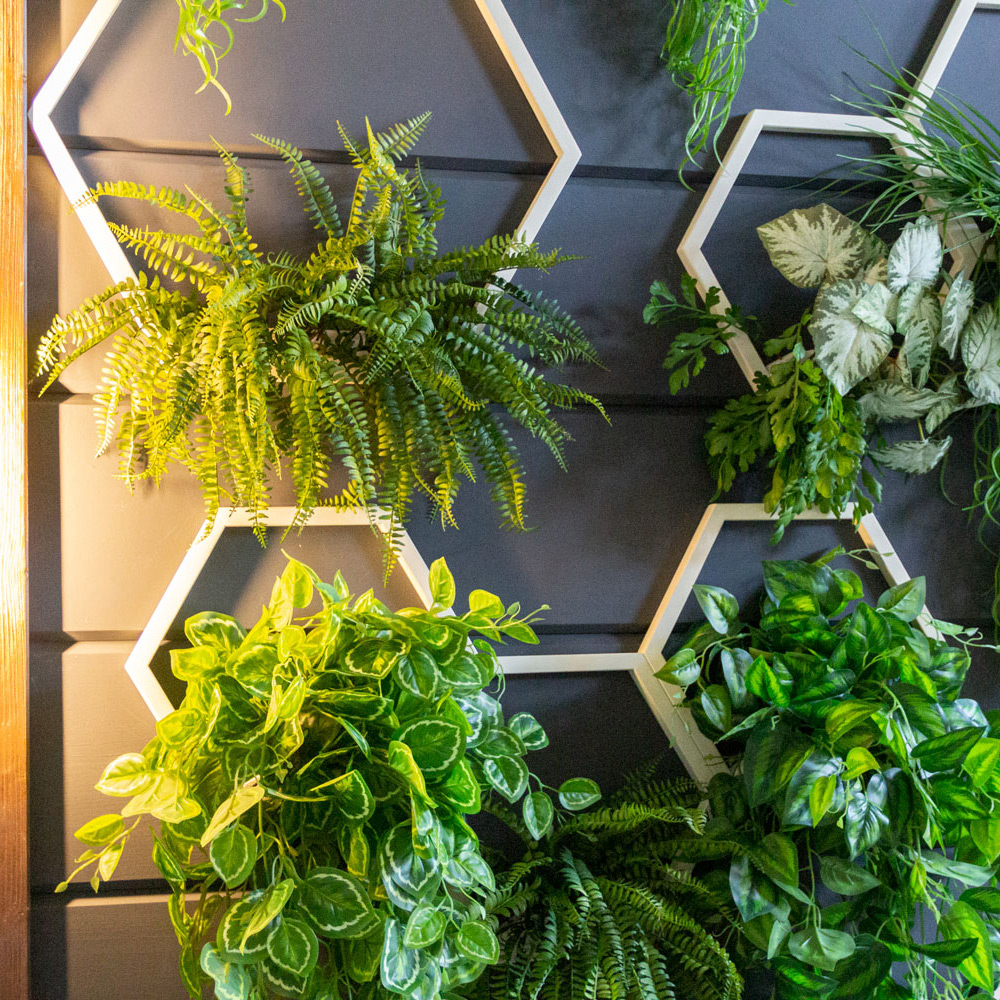 ФТС136-1(F) Фитостена с сотами 240х h350см_6