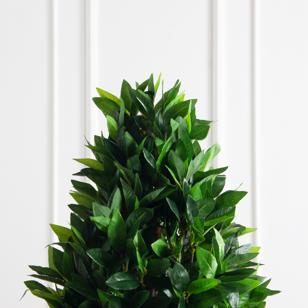 180/ДК/ШТ/188(Пр)(F) Лавр искусственный конус h180см (латекс)_3