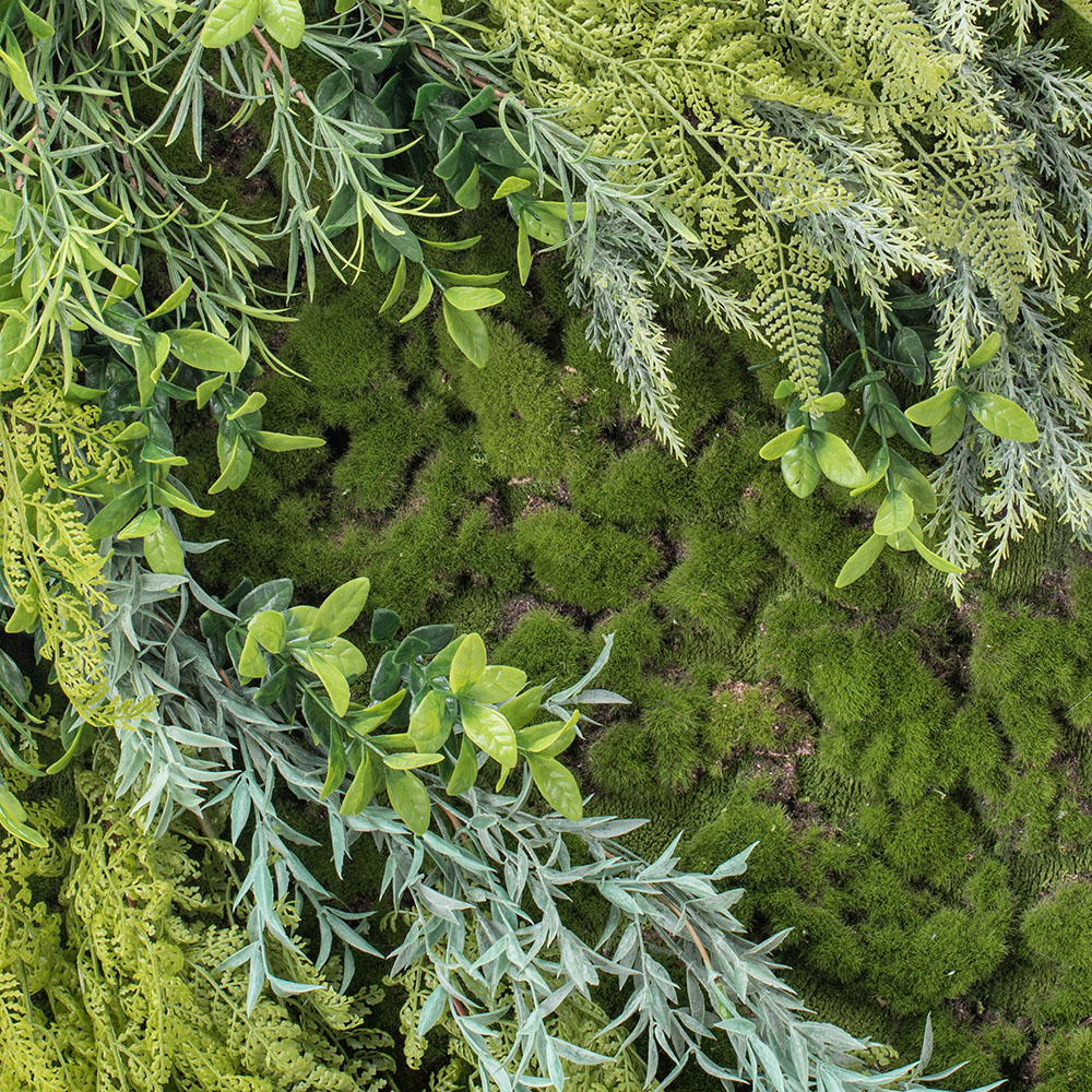 ФК02(з.) Фитокартина с розмарином (105х h-44см)_3