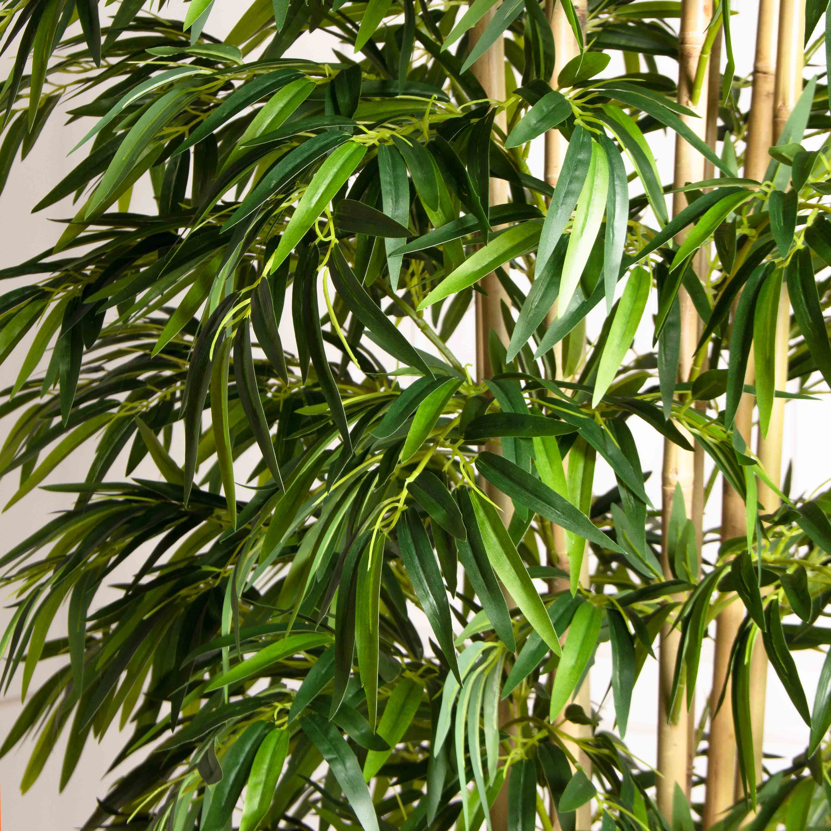 220/75/1-3(з)(Пр)(F) Бамбук искусственный 8 стволов, h220см (латекс)_5