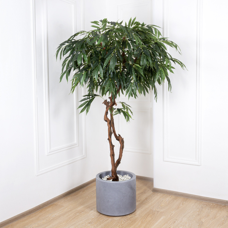 210/ОС/219 Лонгифолия h210см(латекс)_4