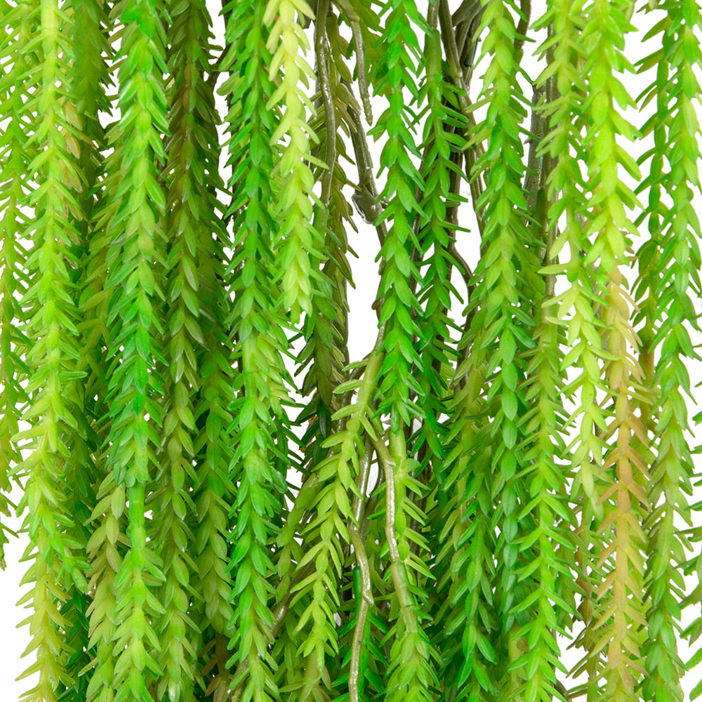 БК 36 Композиция с крассулой на блоке 15*h10_3