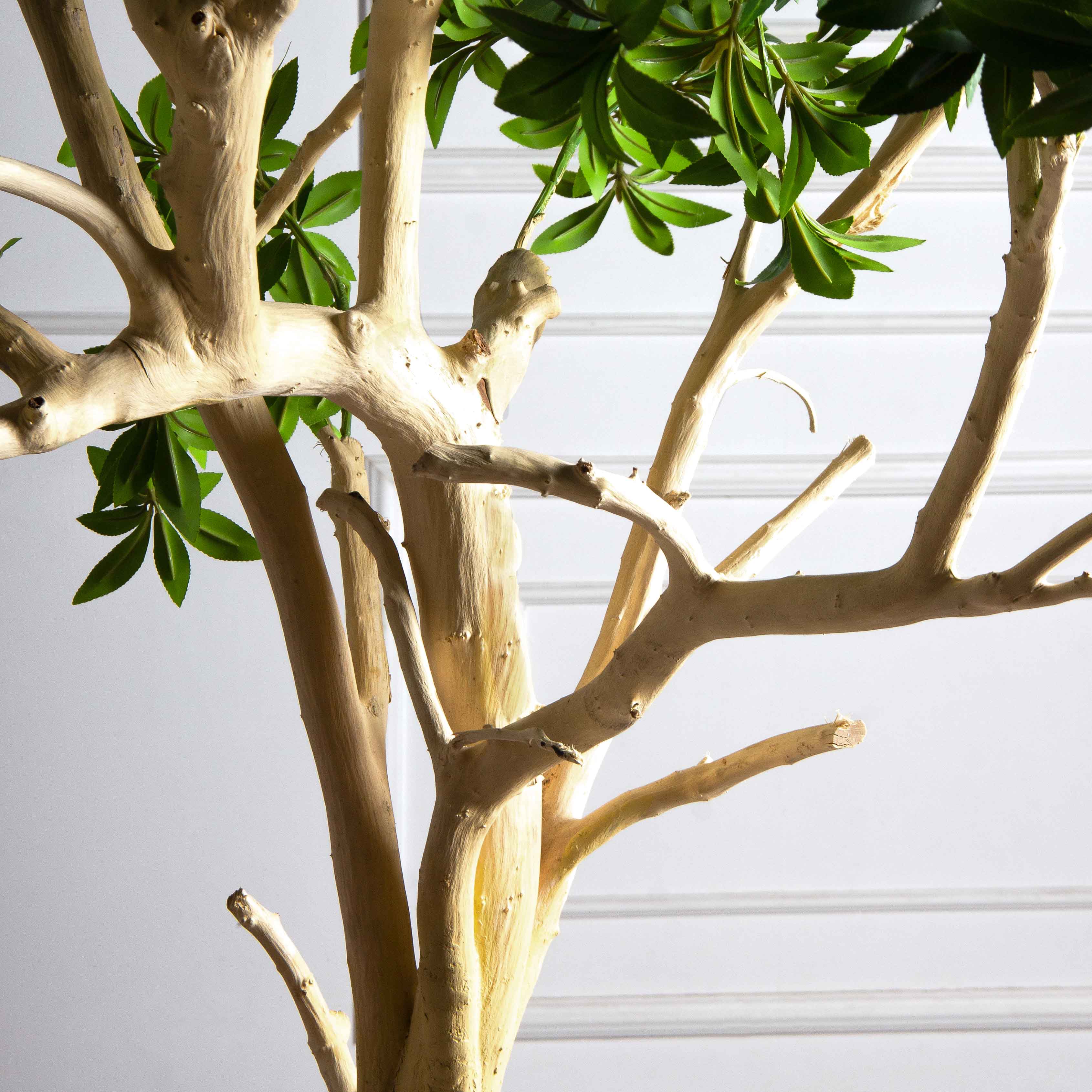 200/ДА/526(з)(F) Бересклет искусственный h200 d160см в кашпо d33 h24,5см, латекс_7