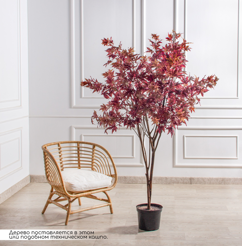 180/РН/606 (Пр) Клён искусственный веерный  h180см_3