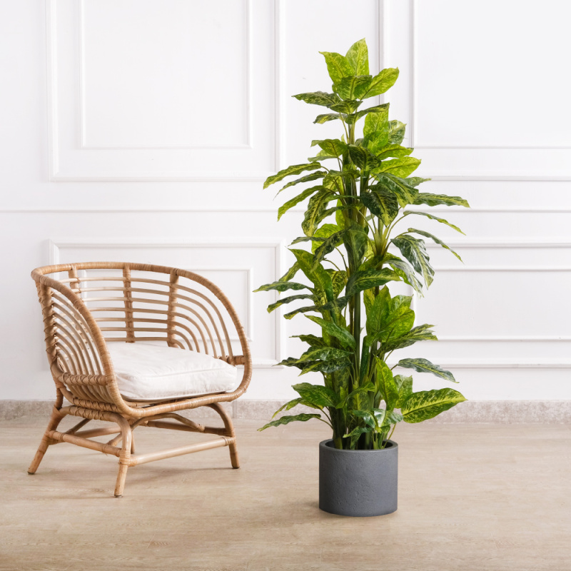 150/К/4779(F) Диффенбахия искусственная куст h150см_1