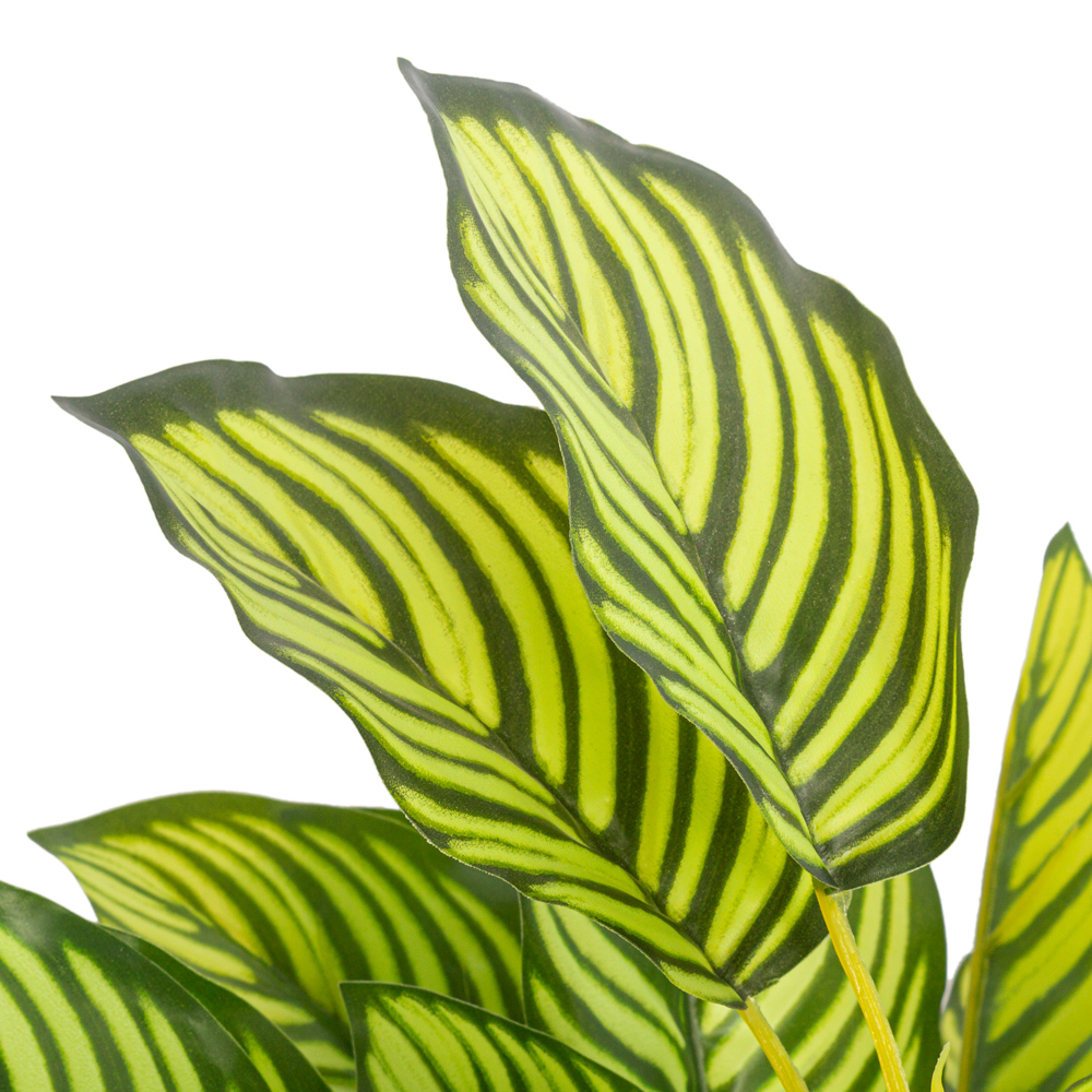 ВМ21/1(з.) Вставка с калатеей h32см, 12*12см (латекс)_7