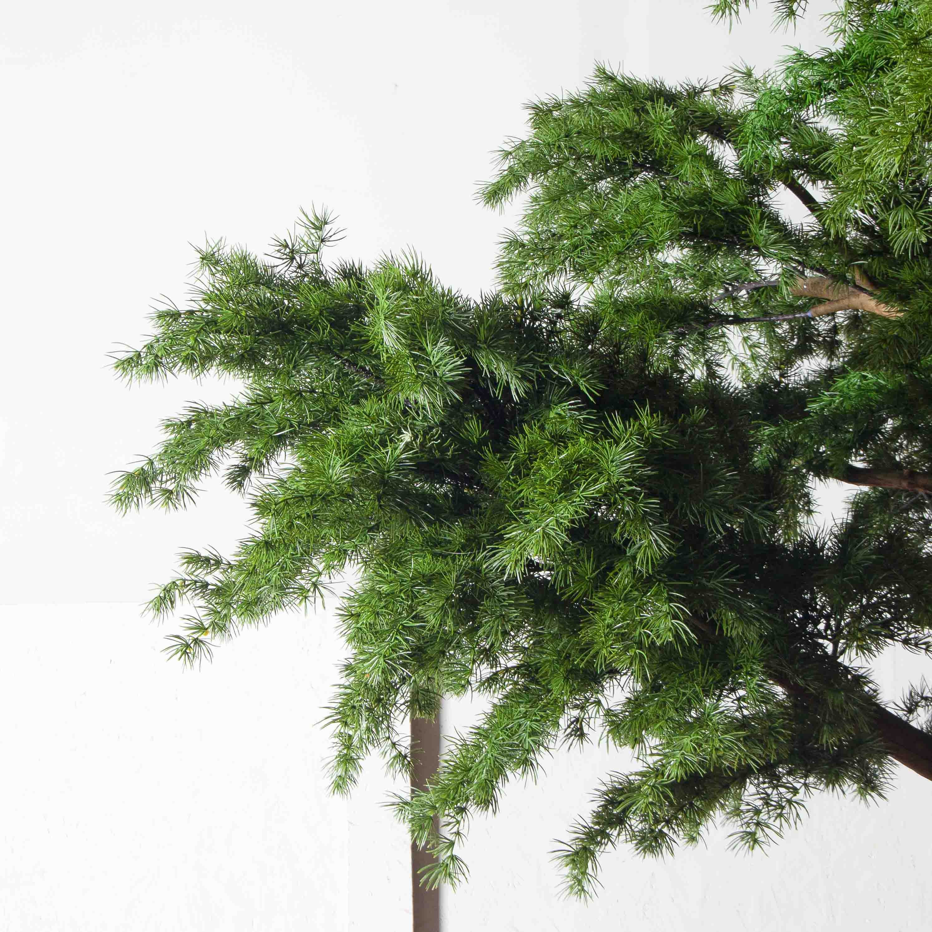 340/РН/310(з)(УУ)(Пр)(F) Лиственница искусственная h310см, d200-210см_4