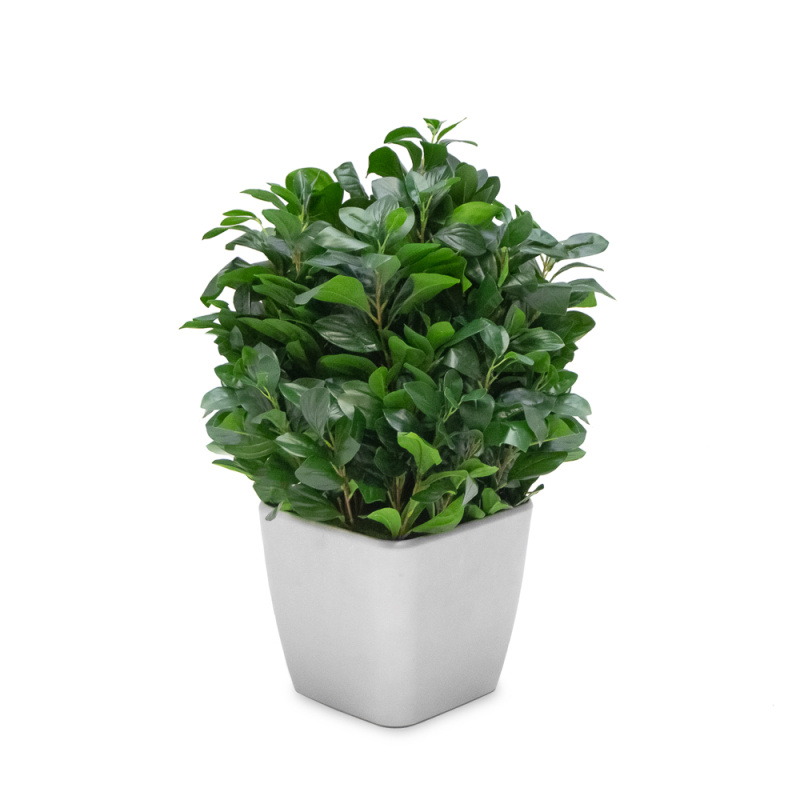 ВМ6-1 Вставка модуль Рускус h60см(латекс)