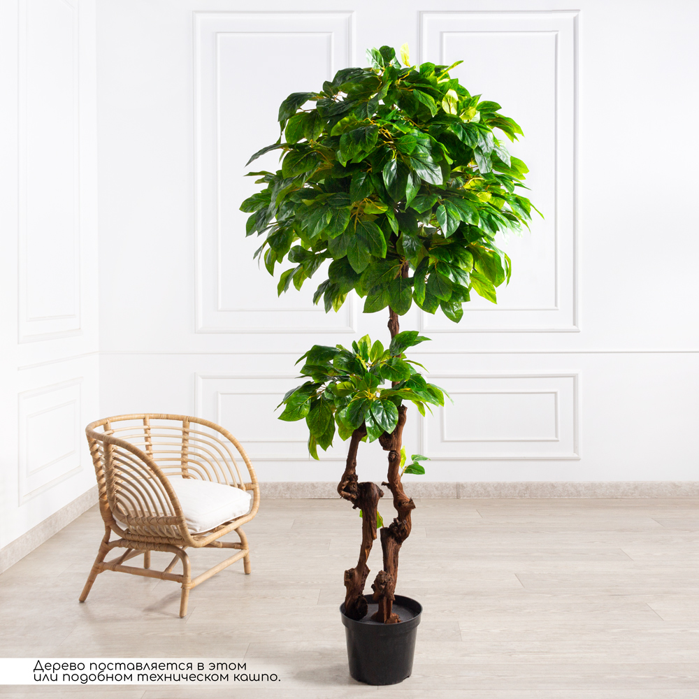 210/2К/ОС/89(з)(F) Магнолия искусственная h210см_1