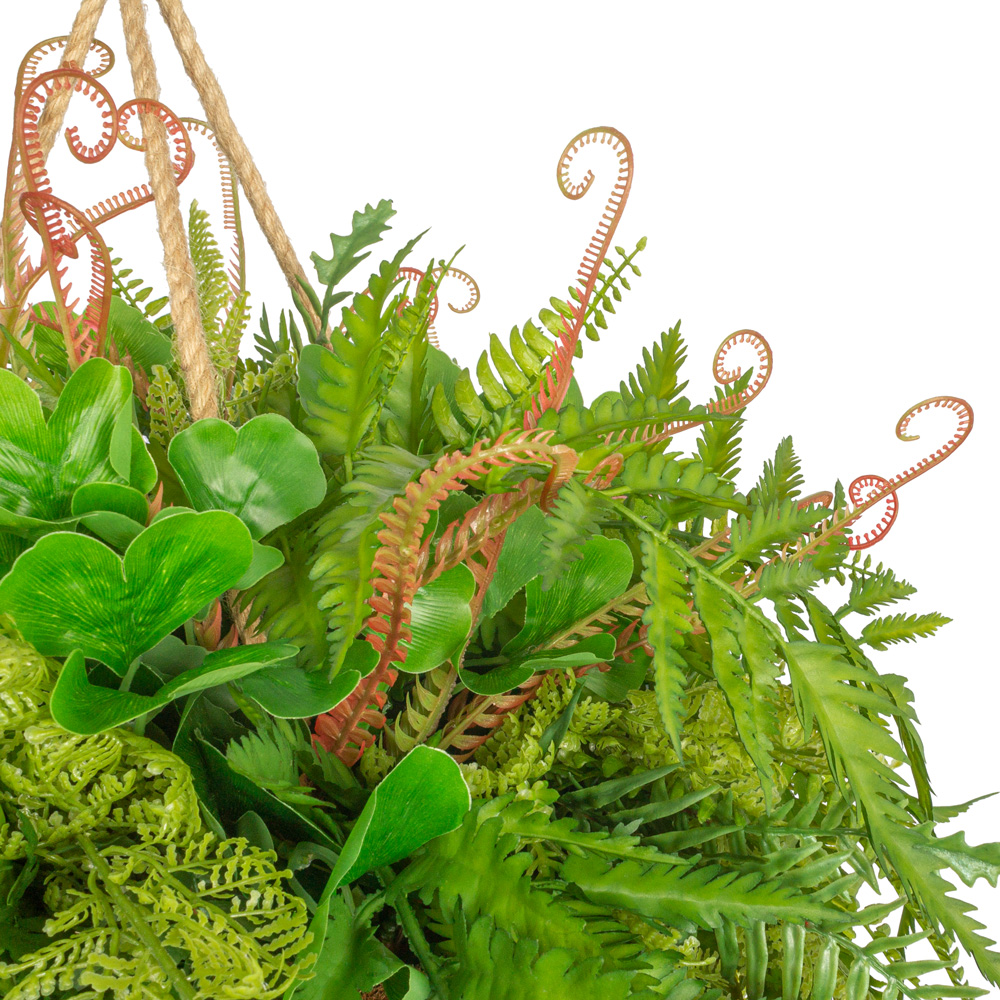 КОН02 Папоротник с зеленью в кокос. конусе(d-65. h_24