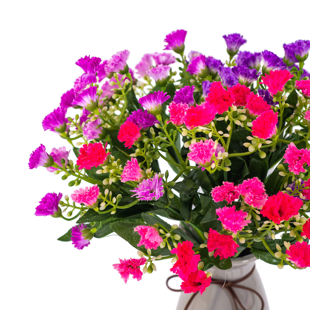 7142/0380-3 Гвоздика-диантус (микс)_1