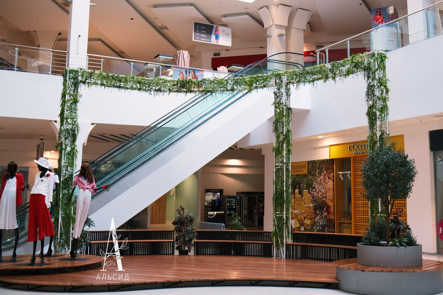 ЦС045/465 Олива искусственная с плодами в кашпо h45см_2