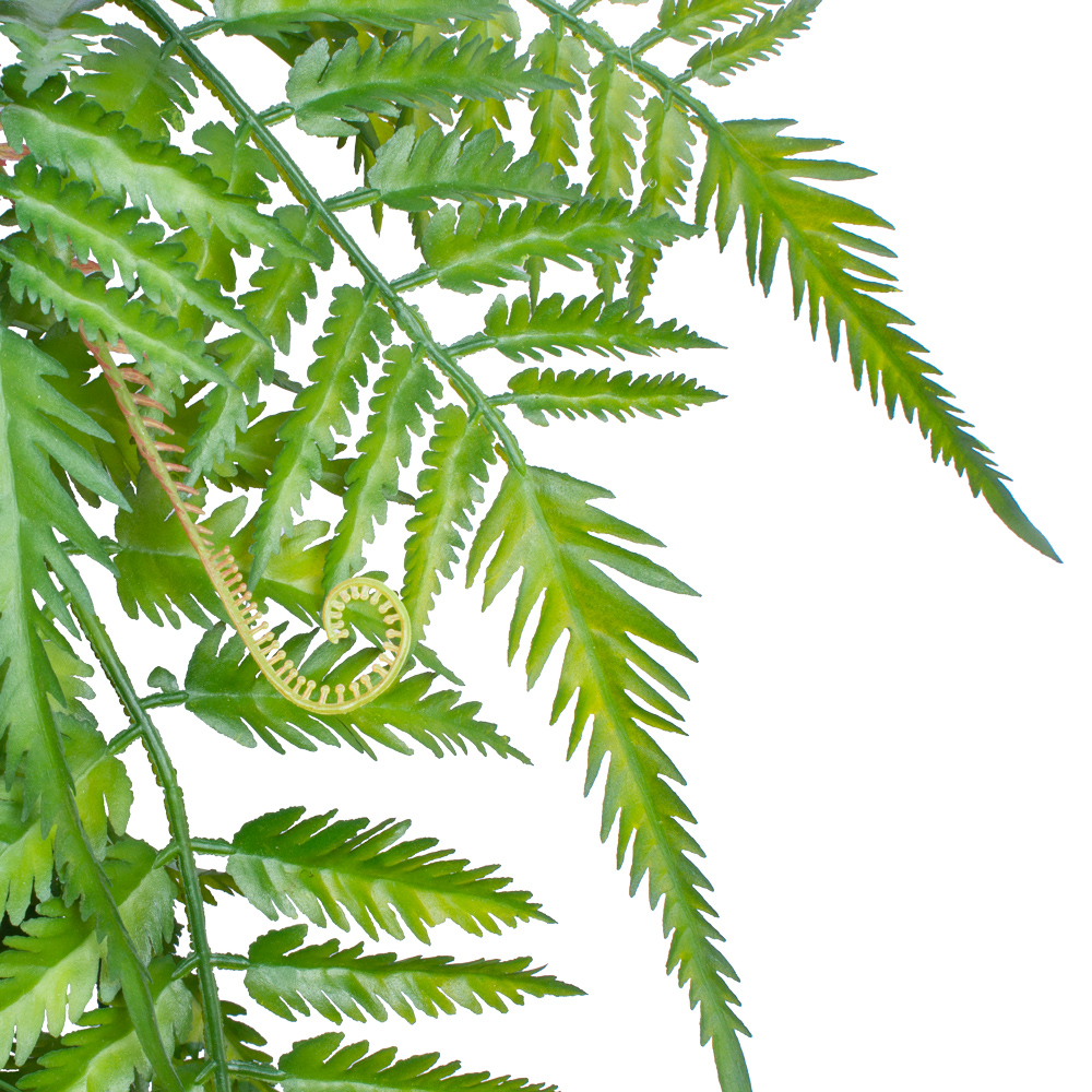 БК 10 Композиция с папоротником на блоке 15*h10_3