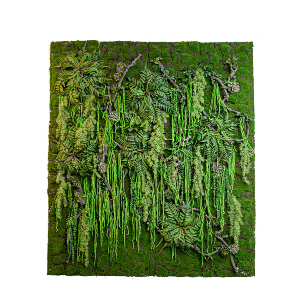 Фитостена 52(з.) с суккулентами_3