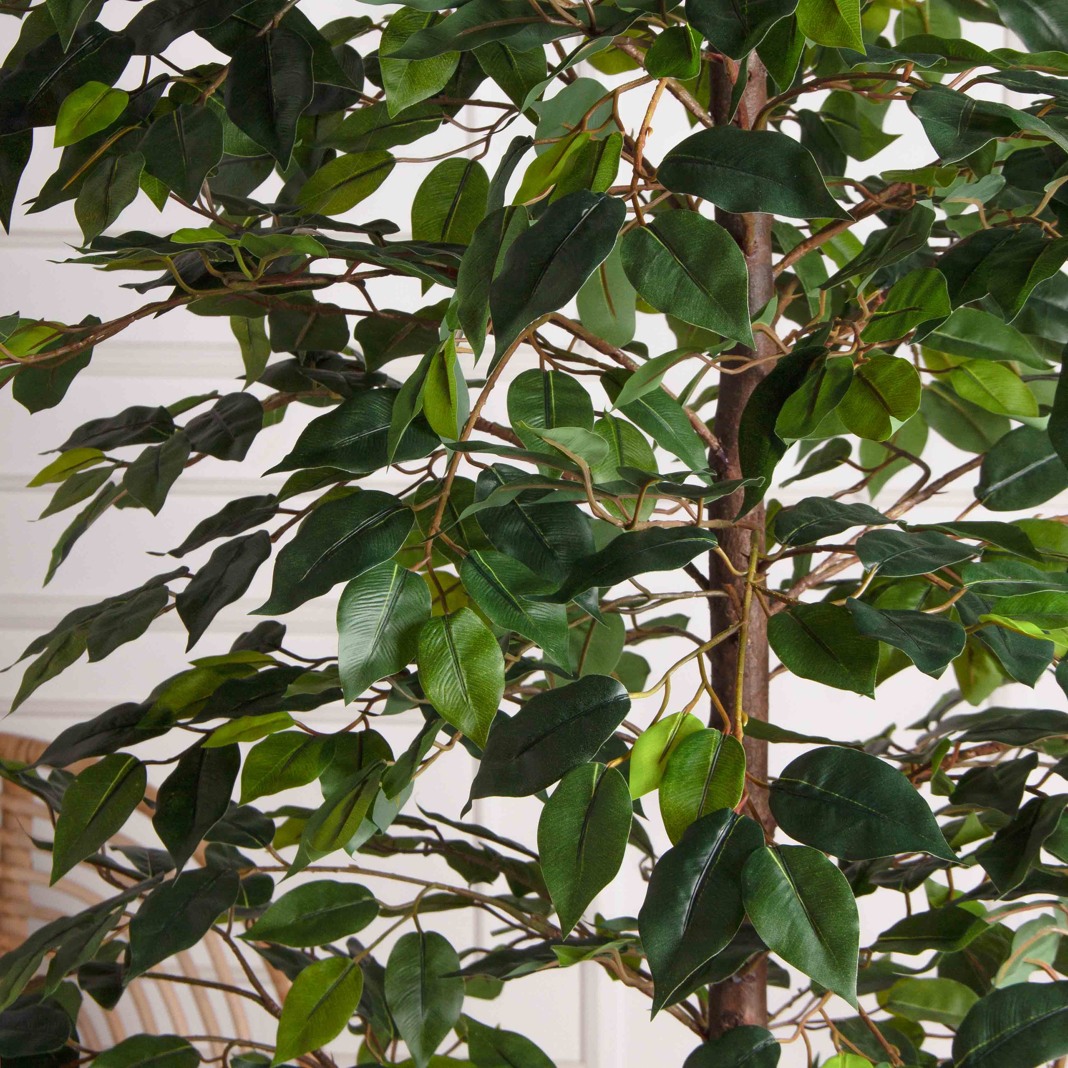 180/РУ/34(Пр)(F) Фикус искусственный разноуровневый h180см, латекс_6